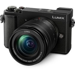 Panasonic  Lumix DC-GX9 Mirrorless Micro Four Thirds Digital Camera with 12-60mm Lens (Black)