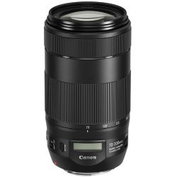 Canon EF 70-300mm f/4-5.6 IS II USM Lens