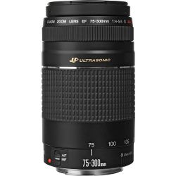 Canon EF 75-300mm f/4-5.6 III USM Lens