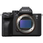 Sony Alpha a7S III Mirrorless Digital Camera (Body Only)